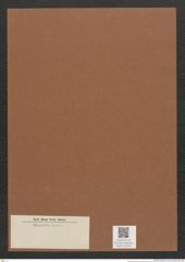 Diatomeae indet. Zeichnungen Sammlung Grunow Mappe 02345 (Herbarium_W_Grunow_drawings_Folder_02345)